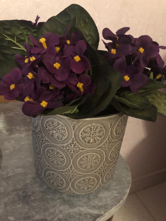 B&B Meliora Rooms 아볼라 외부 사진